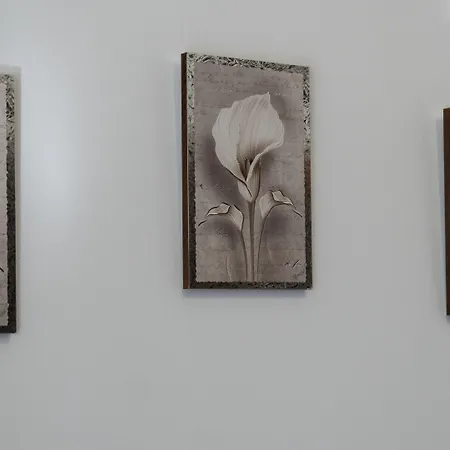 Ferrarese 160-2 Bologna